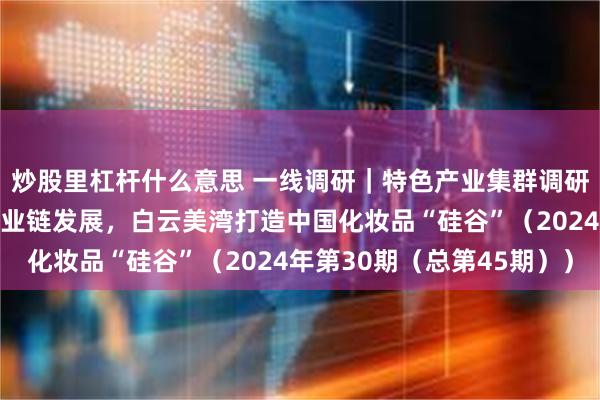 炒股里杠杆什么意思 一线调研｜特色产业集群调研行广东站——探索全产业链发展，白云美湾打造中国化妆品“硅谷”（2024年第30期（总第45期））