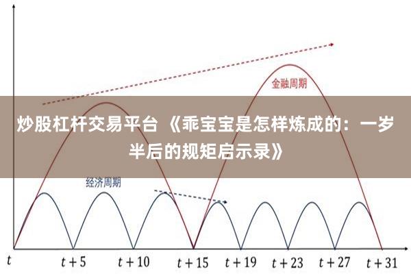 炒股杠杆交易平台 《乖宝宝是怎样炼成的：一岁半后的规矩启示录》