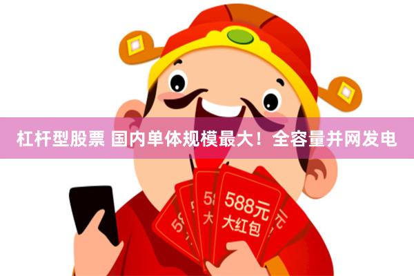 杠杆型股票 国内单体规模最大！全容量并网发电